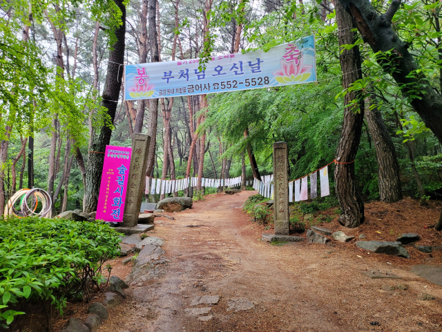 부산 금어사, 제29회 부산동래차밭골 문화제