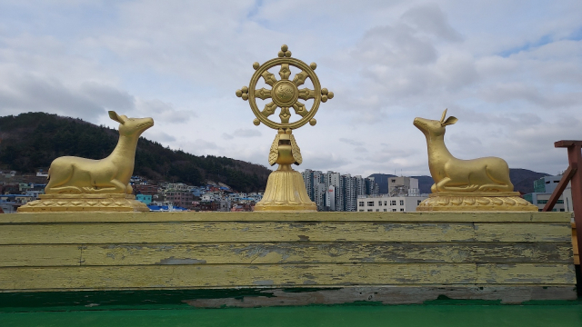 아미동 언덕에 우뚝 선 황금 사원…부산 속 ‘작은 티베트’ [별별부산] ③