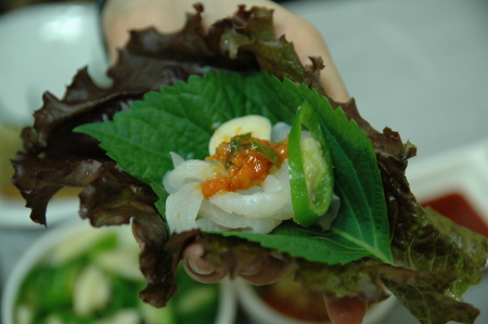 회다운 회, 맛보고 싶다면?