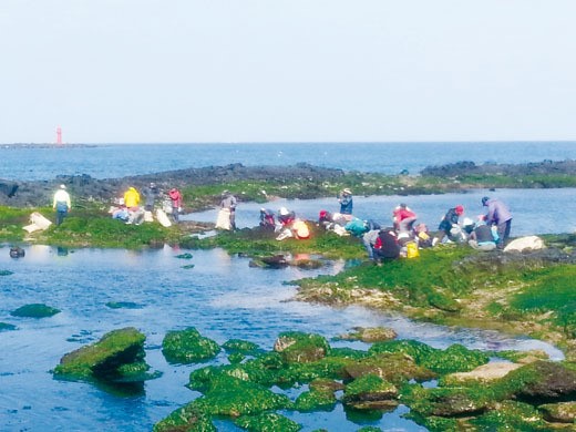 [제7회 장보고대상 수상자 시리즈 1  임태일 태림상사 대표] 제주 톳 가공해 1만7000여 어민 소득 높여
