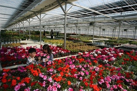 기장 철마에 화훼체험장·테마식물원