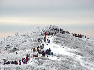 [태백]태백산 ‘설경(雪景)특수’ 기대되네