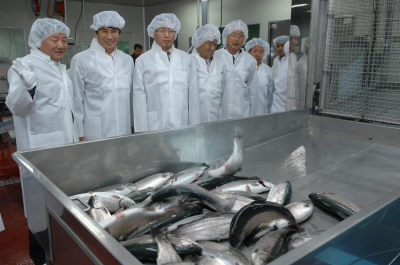 [영월]송어훈제공장 가동 관련산업 활력