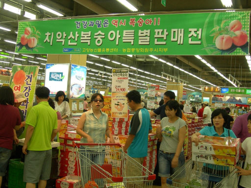 원주 치악산 복숭아 `인기 만점