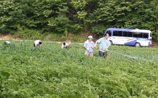 [포토뉴스]강릉동인병원 방제작업 지원
