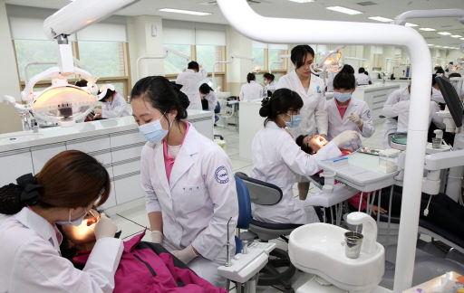 [포토뉴스]강원대학교 삼척제2캠퍼스 전공별 봉사활동