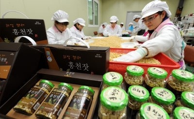 [포토뉴스]홍천 잣 설날 선물로 인기