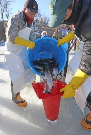 [포토뉴스]활기 되찾은 홍천 꽁꽁축제