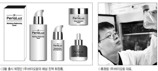[경제플러스]못생긴 해삼으로 세계 최고급 화장품 만든다고?