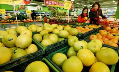 [포토뉴스]“스위티 자몽으로 환절기 건강 지키세요”