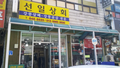 [강릉 / 강릉 전통 명품의 명암]찾기도 힘든 강릉곶감