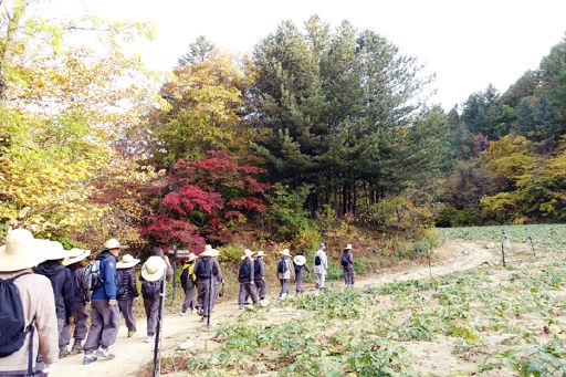 오대산 천년의 숲길 걷다보면 어느새 힐링