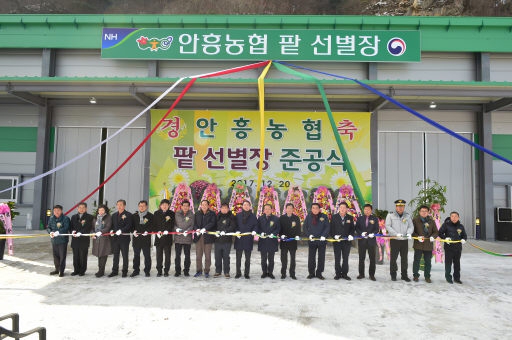 [횡성]안흥농협 팥 선별장 준공