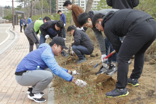 올림픽 유산으로 남을 나무 9,000그루 심어