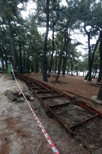 [포토뉴스]경포해변 솔향기공원 노후화된 데크 보수