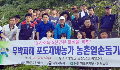 [포토뉴스]예밀리 포도농가 봉사