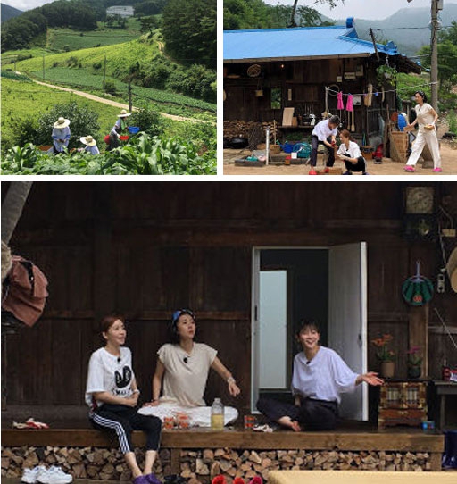 [기획-이곳이 핫플레이스]이 파란 지붕 집은 어디 있을까?