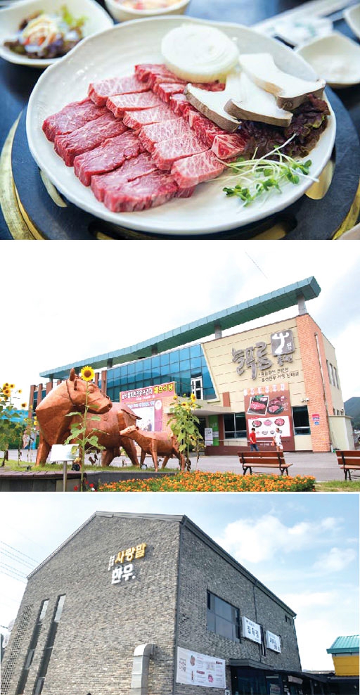 [홍천강 꽁꽁축제]`홍천한우 한 점에…몸도 마음도 사르르