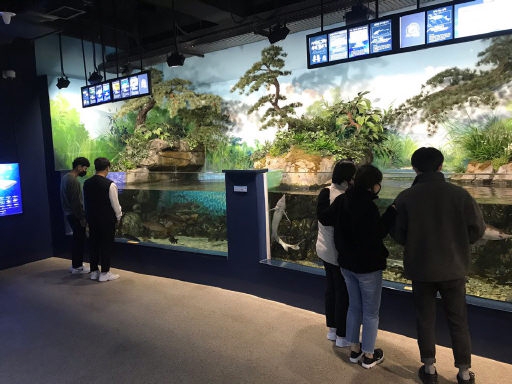 [강릉]경포아쿠아리움 관광객 80% 급감에 휘청