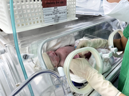 [춘천]춘천서 자연임신으로 세쌍둥이 출산 화제