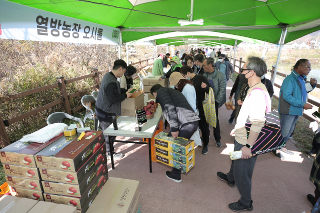 양구 시래기·사과맛에 흠뻑 빠졌다