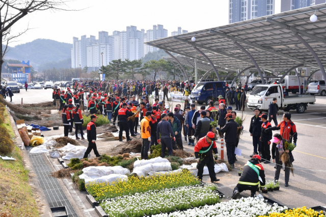 어린나무 2만4,000그루 삼척시민에게 배부