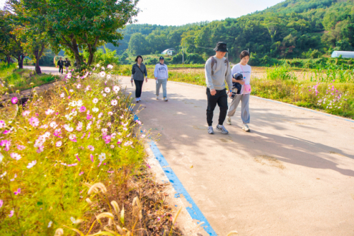 걷기명소 송지호서 가을정취 만끽 … 범도민 산소길걷기 성황