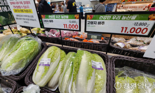 [포토뉴스] 배춧값이 왜 이래