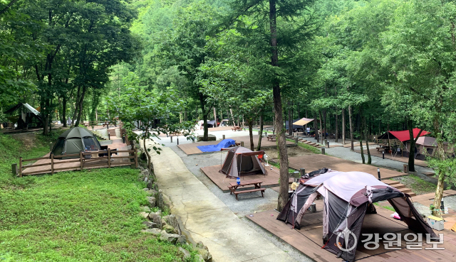 화천 공공 캠핑시설 새 단장 “힐링 만끽하세요”