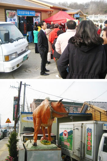 [한우] 가격파괴 돌풍
