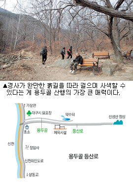 [걷고싶은 길] 대구 수성구 파동 용두골