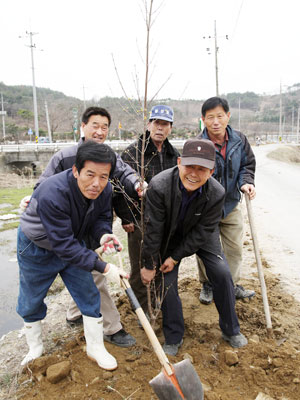 산수유 마을 꾸미니…온 동네 웃음꽃 활짝