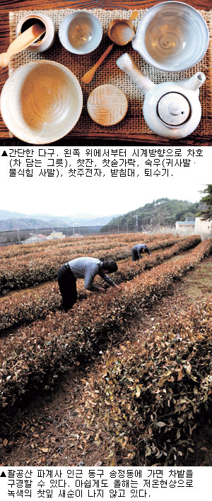 [茶의 계절, 향기 따라] 차의 역사·다구(茶具) 고르는 법