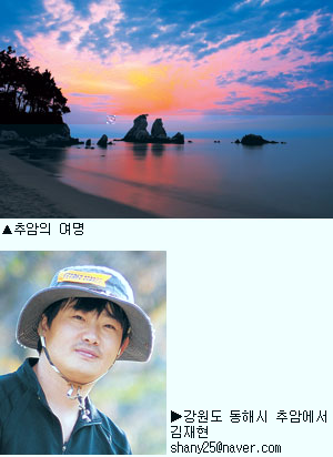 [포토갤러리] 추암의 여명