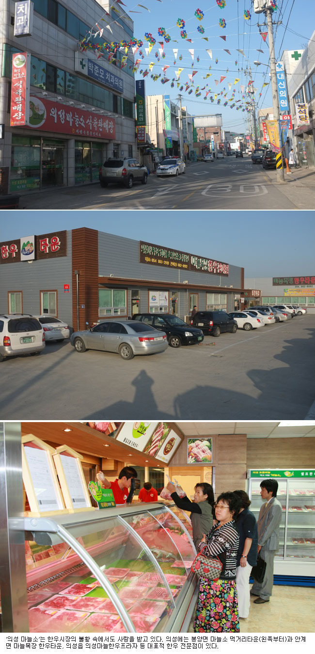[2012의성마을국제연날리기대회] 의성마늘한우프라자 대표 전문점
