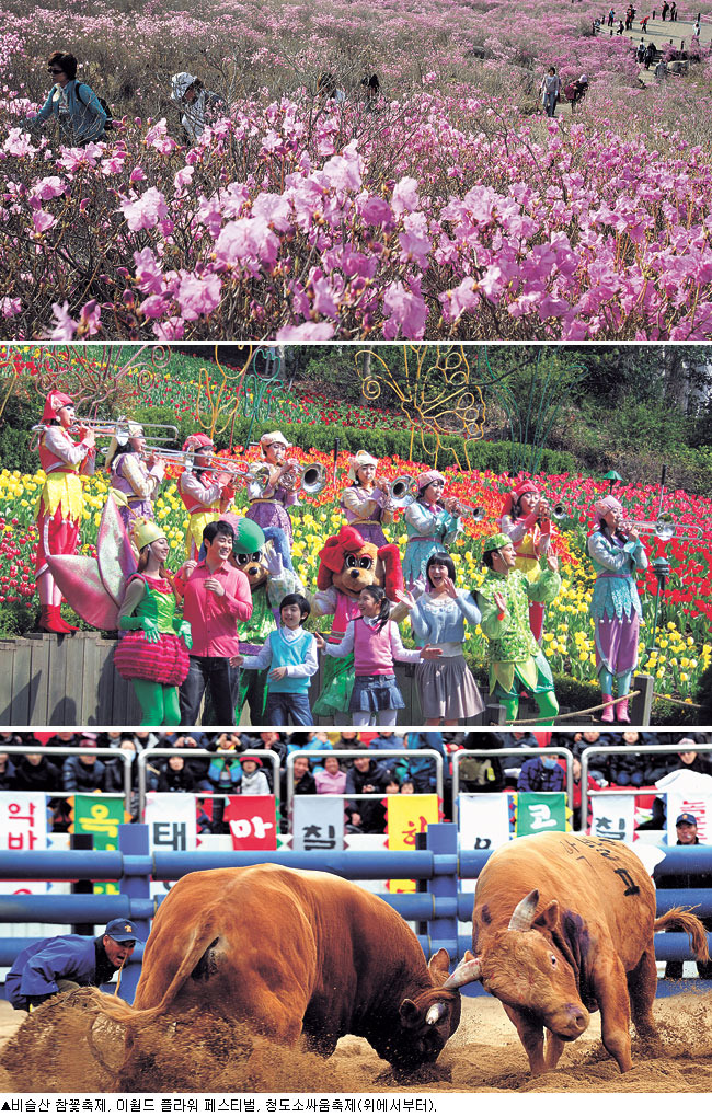 [봄날의 유혹! 봄 축제] 대구경북 축제