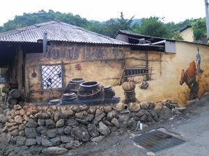 달성군 화원읍 마비정 마을 35가구 담장에 벽화사업 실시