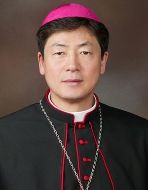 형제애로 평화 공동체 회복 사회통합 우선