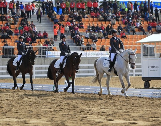 영천∼상주∼군위 馬 특구 지정 받자