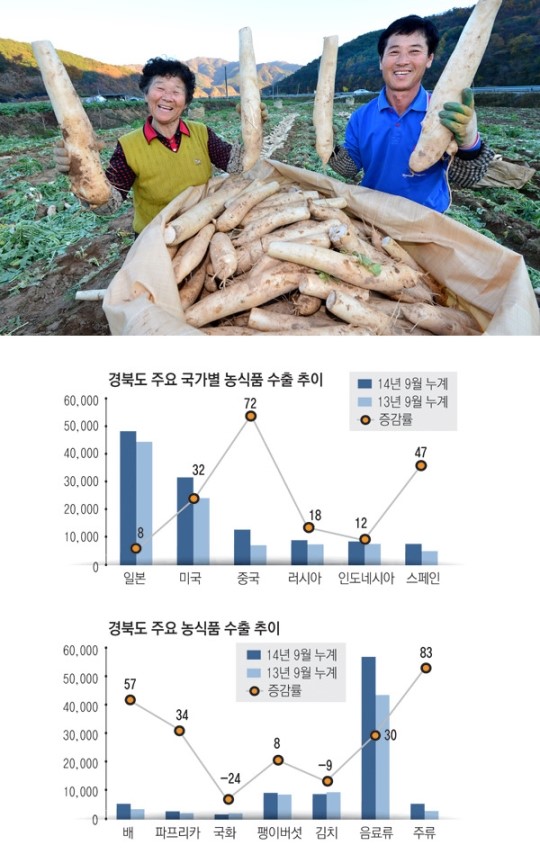 농식품 수출 1번기 경북, K-Food로 세계인 식탁 공략 선봉에 서다