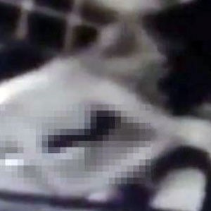 ‘CCTV 포착’ 카페서 옷을 벗더니, 성관계까지?…“공공장소서 알몸으로?”