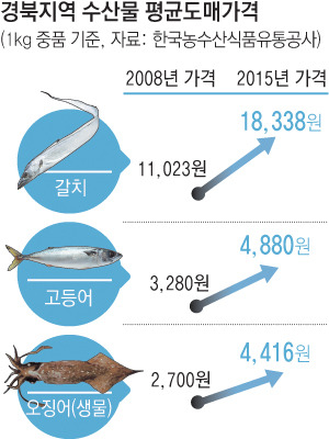떠나가는 동해 대표어종…경북 수산물 1번지 흔들