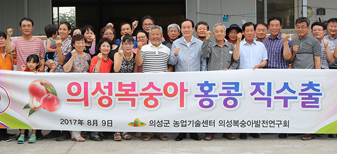 의성군 ‘의성진 복숭아’ 2t 수출
