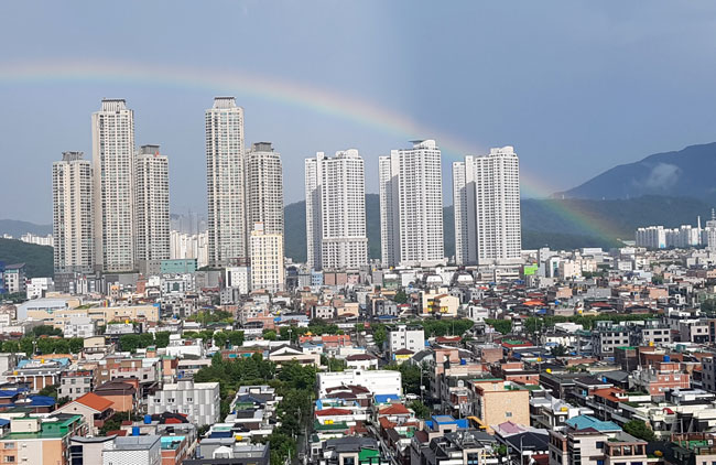 [독자가 찍다-나도 사진기자] 무지개 행운 나눠요