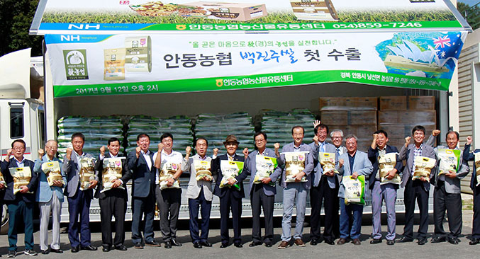 안동농협 계약재배 백진주쌀, 호주로 첫 해외 수출