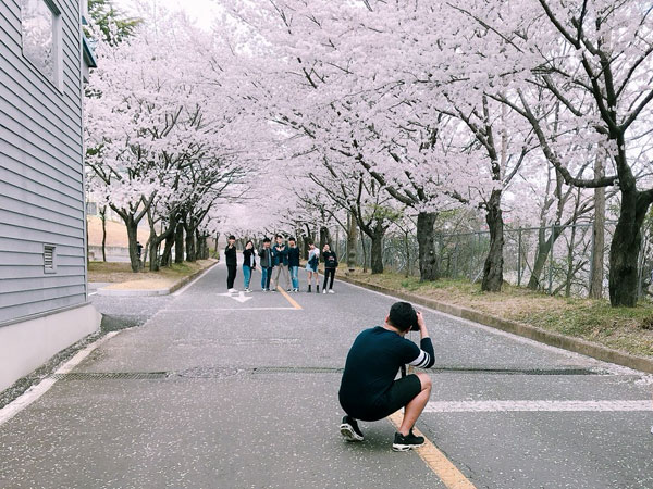 경일대 캠퍼스 벚꽃 만발