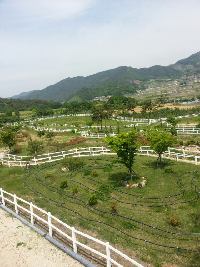 한국마사고등학교, 장수 승마체험장 어디? 전국노래자랑 전북 장수군 편 등장
