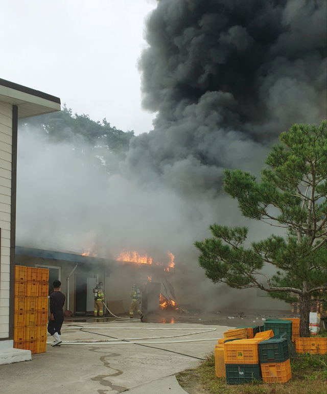 [속보]청송사과유통센터 화재 발생