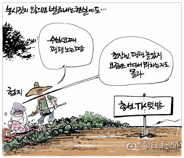 [매일희평] 농지용 땅을 놀리면 투기용으로 의심이 되는 바…