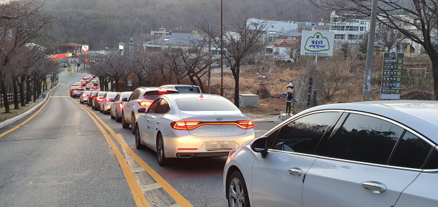 나들이는 인적 드문 곳·데이트는 자동차 극장
